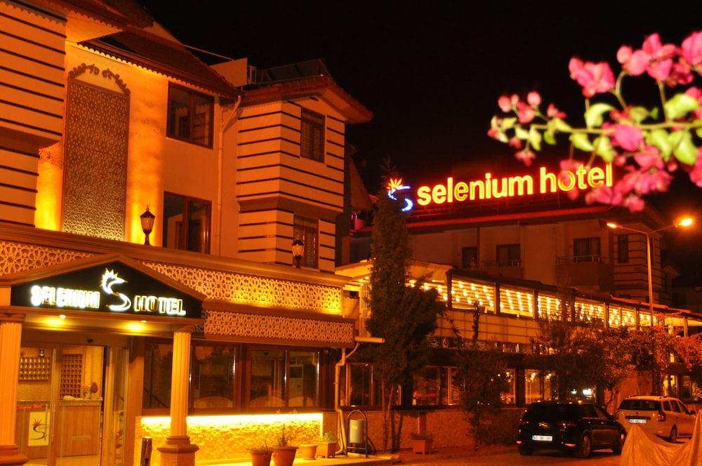 SELENIUM HOTEL — SIDE — фотография отеля №18