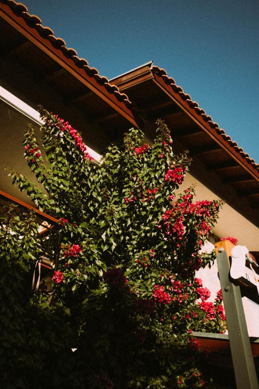 VIRA SUITES — GOCEK — фотография отеля №31