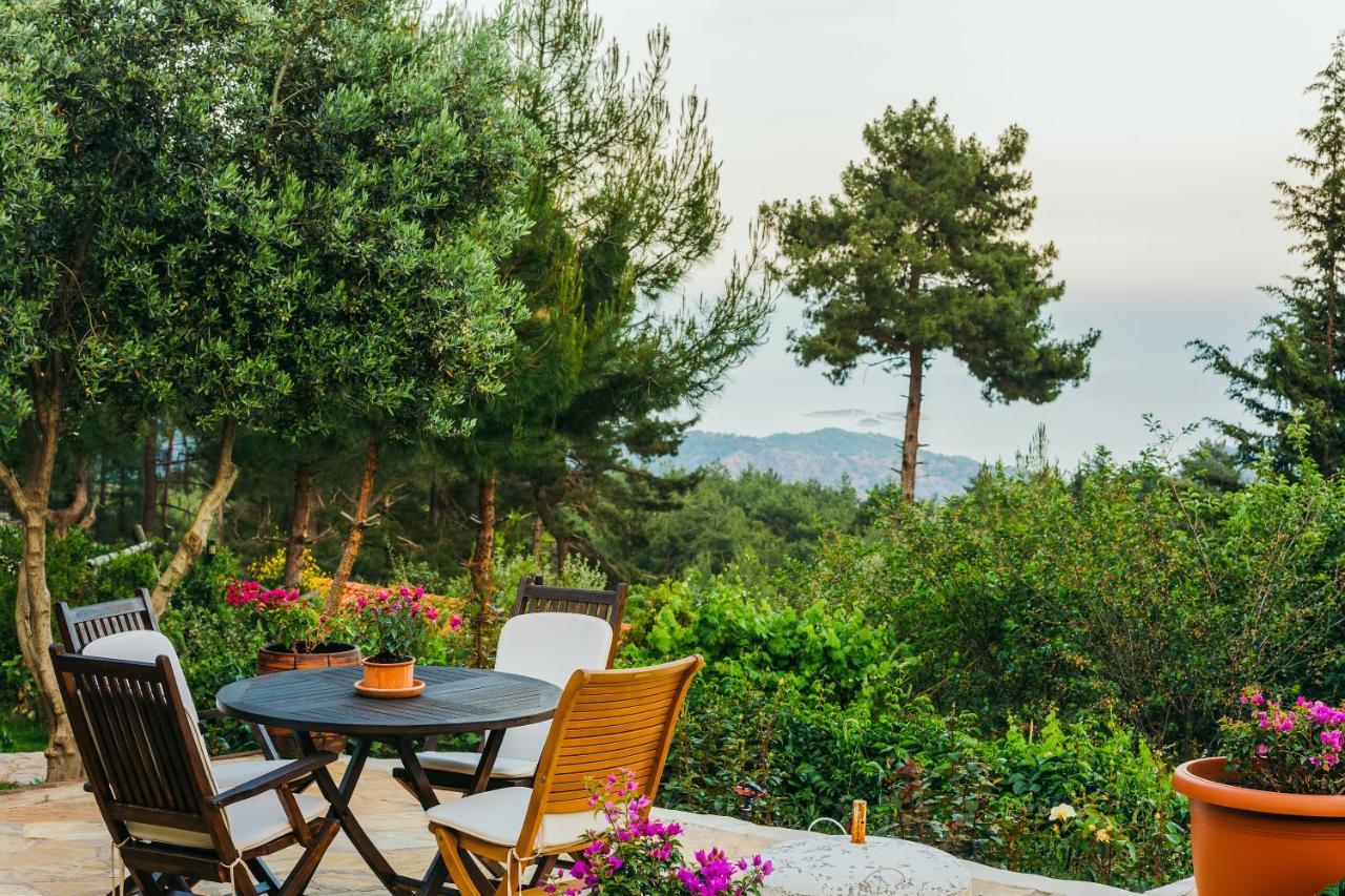 OLYMPOS MOUNTAIN LODGE — KEMER — фотография отеля №17