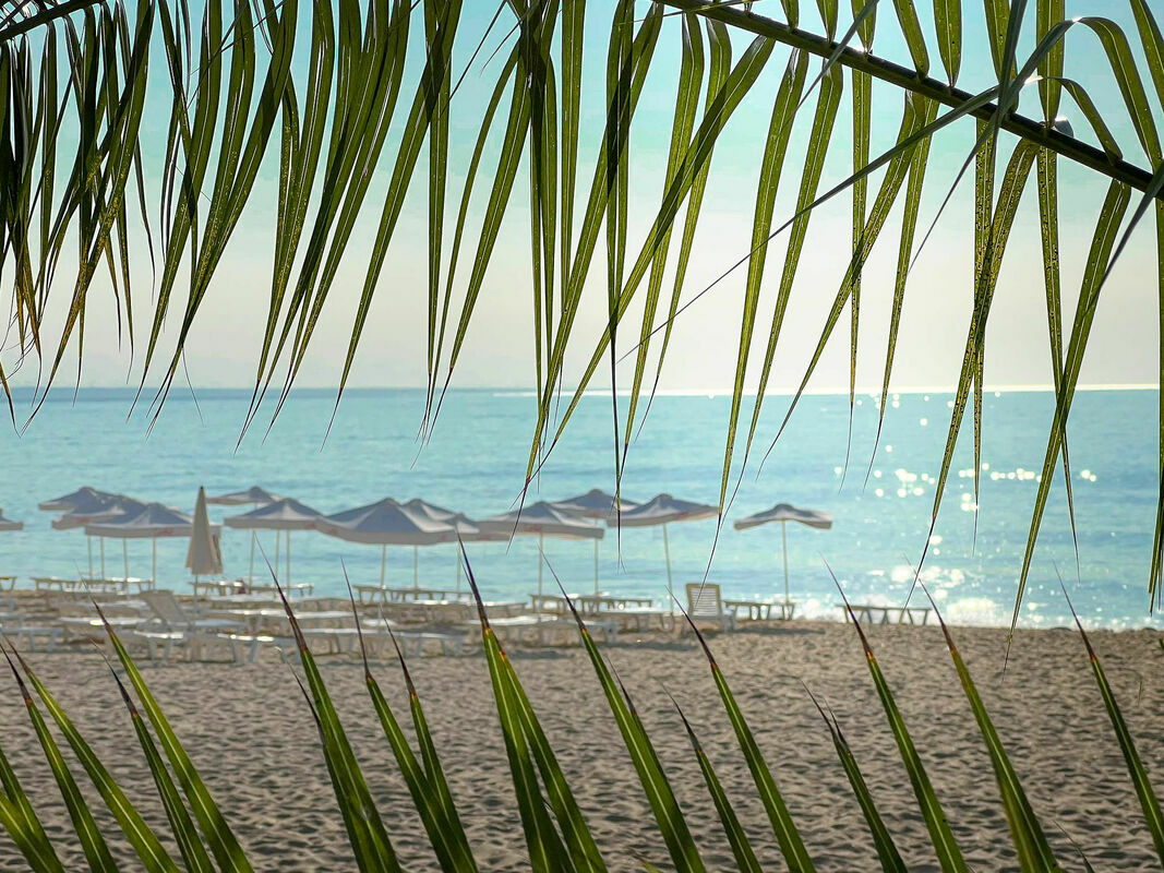 MOKO BEACH BY GRIFID — GOLDEN SANDS — фотография отеля №26