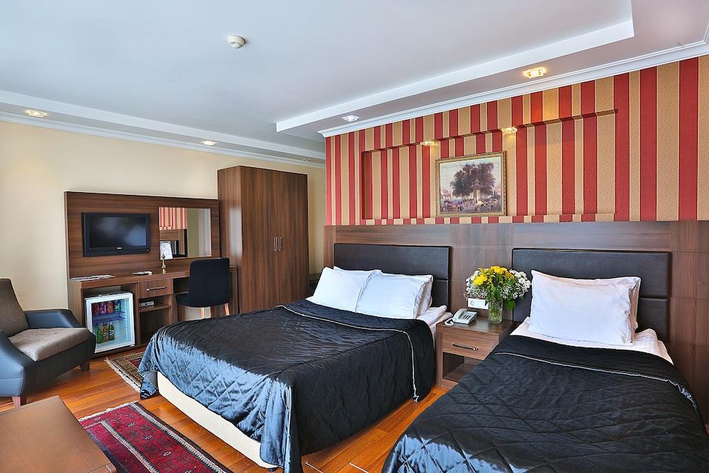 THE ISTANBUL HOTEL — ISTANBUL — fotografie hotel nr. 10
