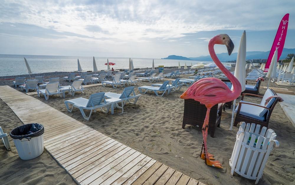 CAMPUS HILL HOTEL — ALANYA — фотография отеля №34
