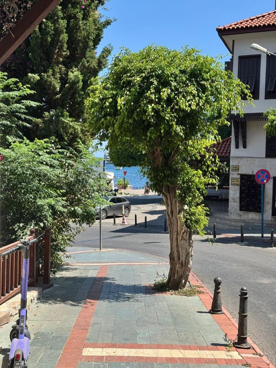 TEMIZ OTEL — ALANYA — фотография отеля №18