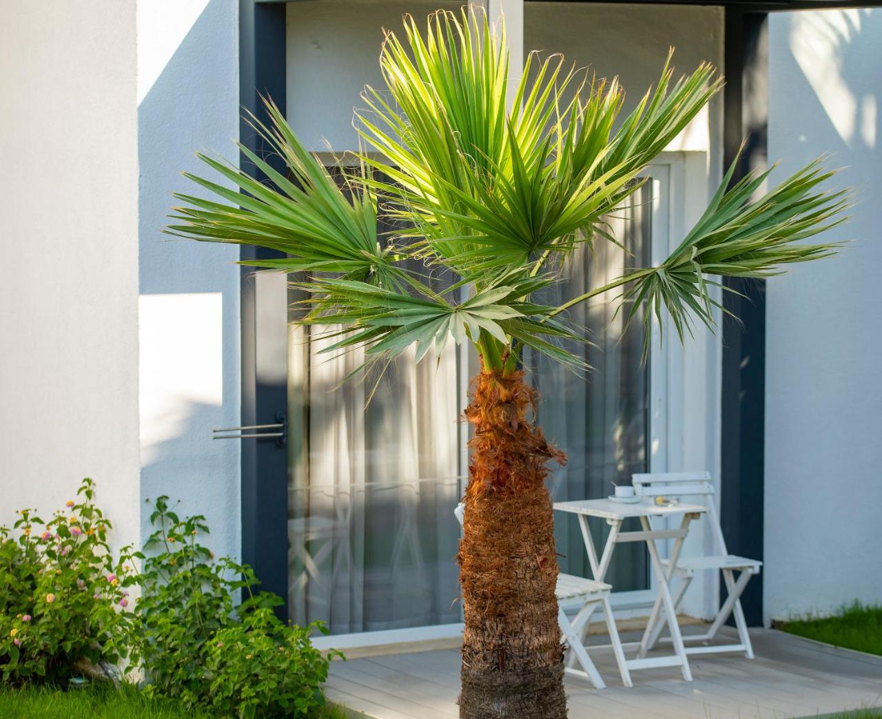 CHARM BEACH HOTEL — BODRUM — фотография отеля №11