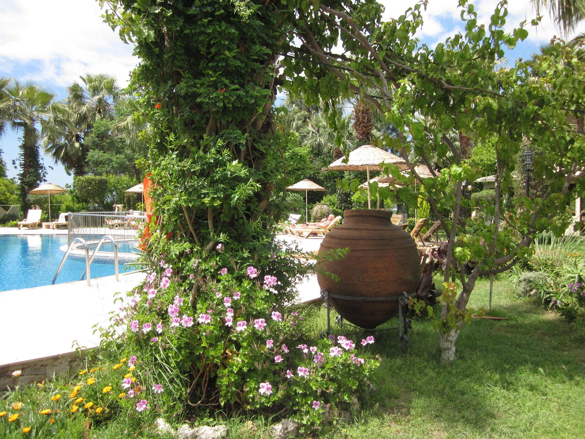 ASUR HOTEL & APARTMENTS & VILLAS — DALYAN — fotografie hotel nr. 22