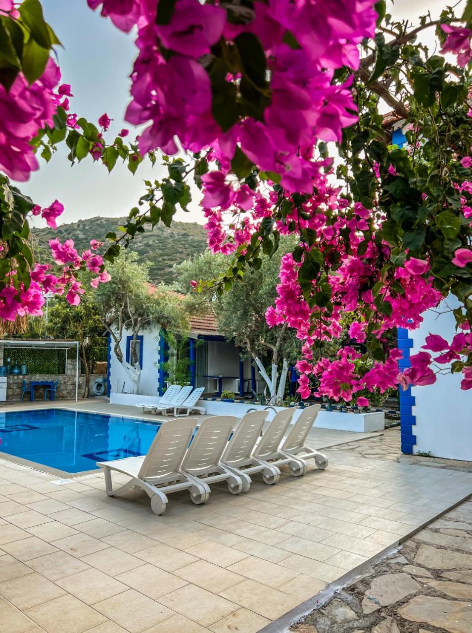 PINELOFT SELIMIYE — MARMARIS — фотография отеля №6