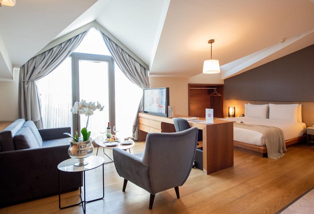 DOSSO DOSSI HOTELS & SPA DOWNTOWN — ISTANBUL — fotografie hotel nr. 11