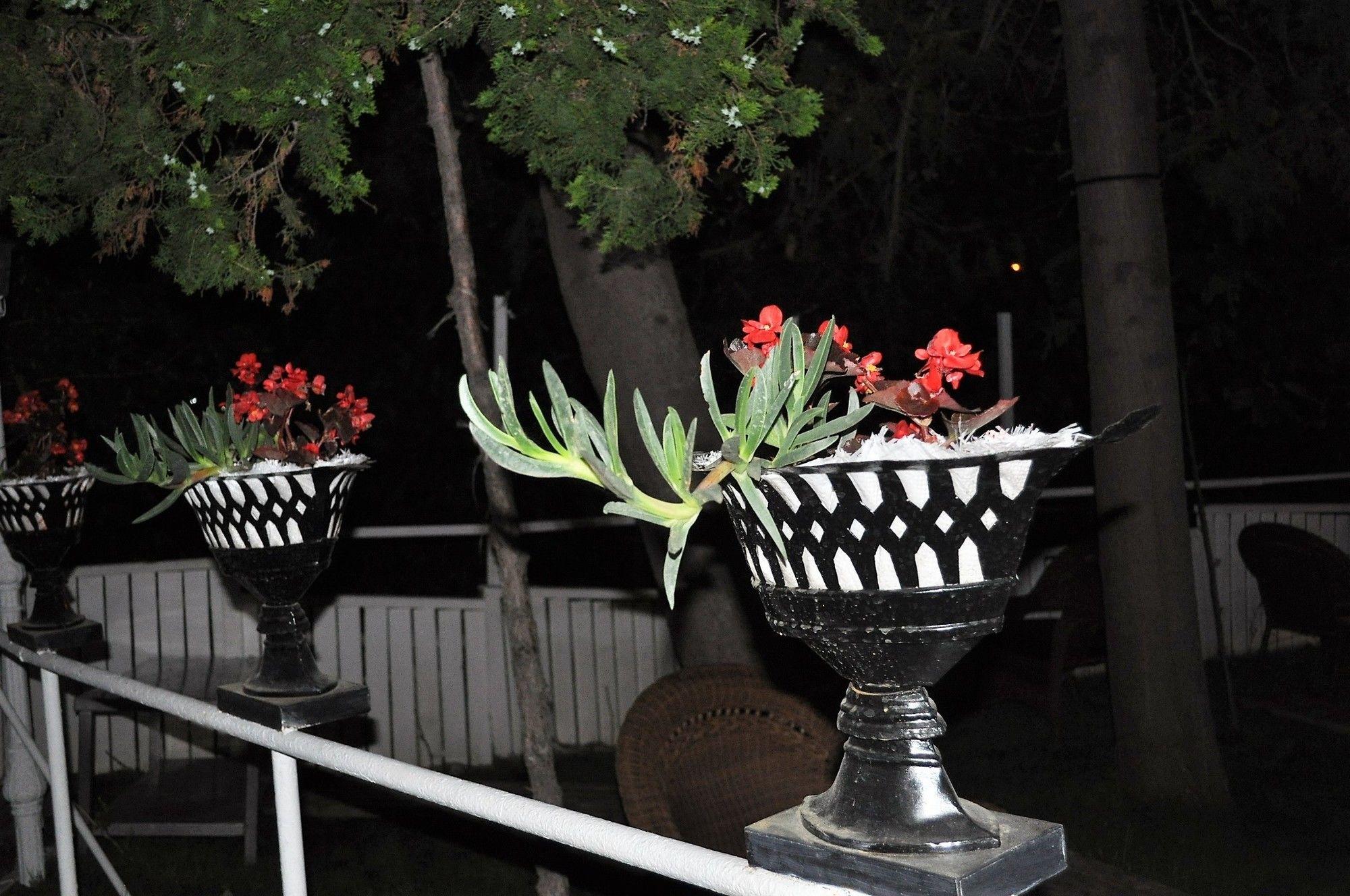 CLUB HOTEL SYEDRA PRINCESS — MAHMUTLAR — fotografie hotel nr. 6