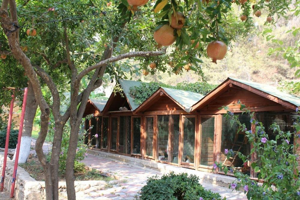 ORANJ RANCH (ORANGE & RANCH) — CAMYUVA — fotografie hotel nr. 26