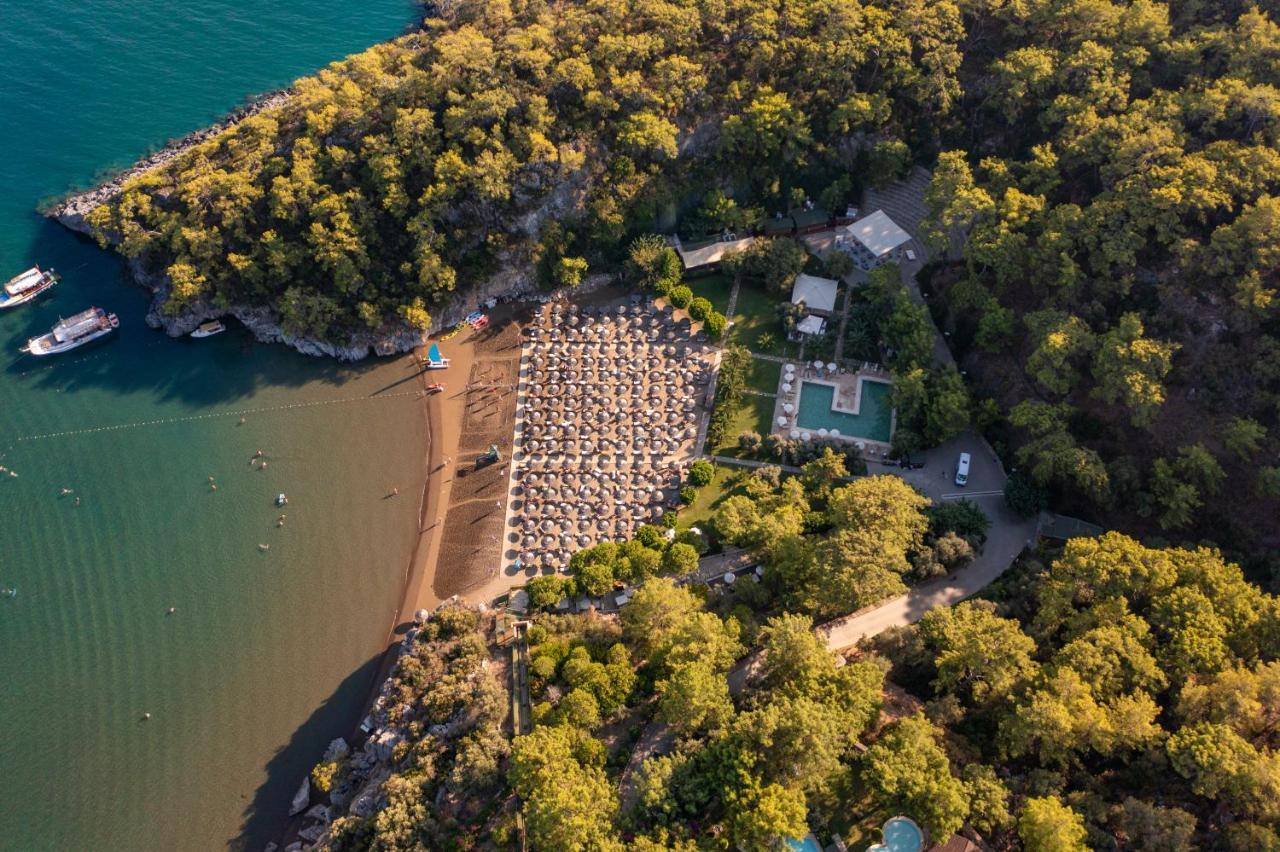 TUI BLUE SENO (ADULTS ONLY) — SARIGERME — fotografie hotel nr. 3