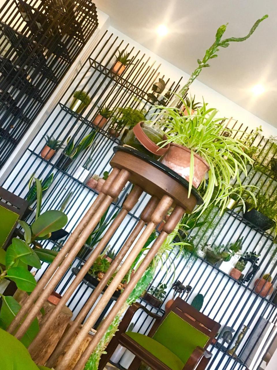 SATO DESIGN HOTEL (ADULTS ONLY) — CESME — fotografie hotel nr. 14