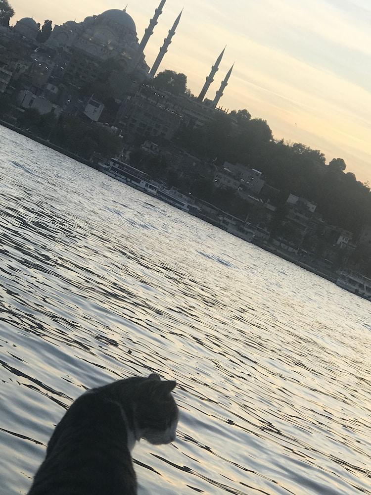 ISTANBUL TERAS — ISTANBUL — fotografie hotel nr. 15