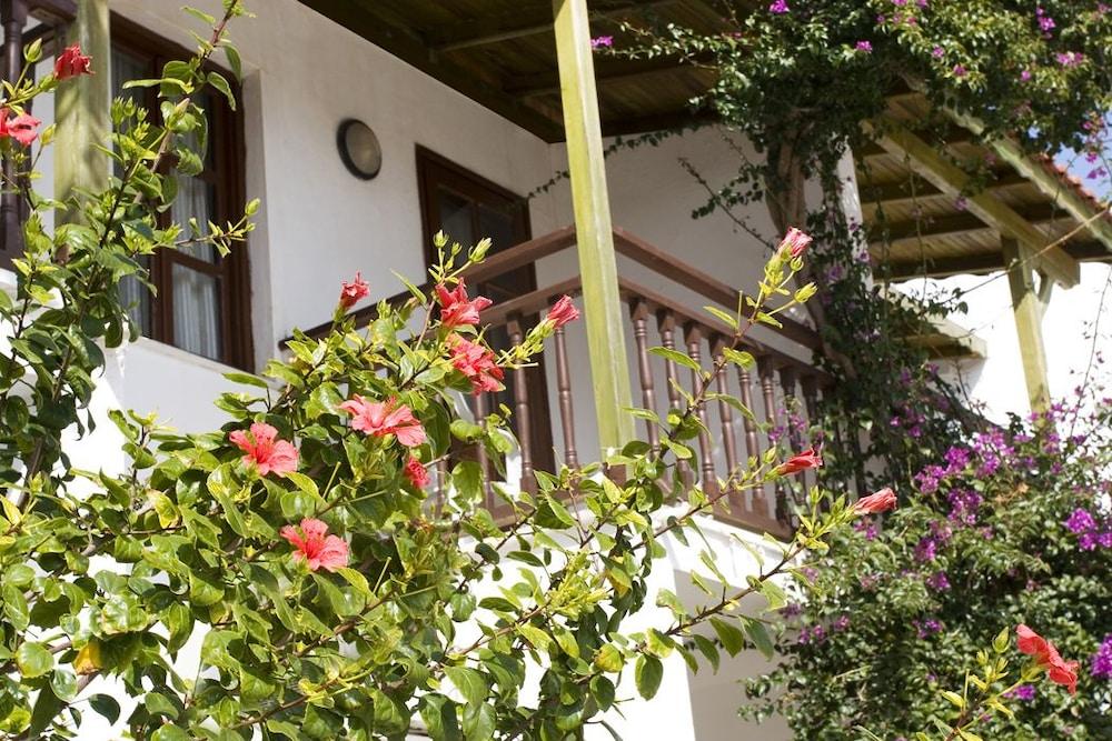 DELFI — BODRUM — фотография отеля №14