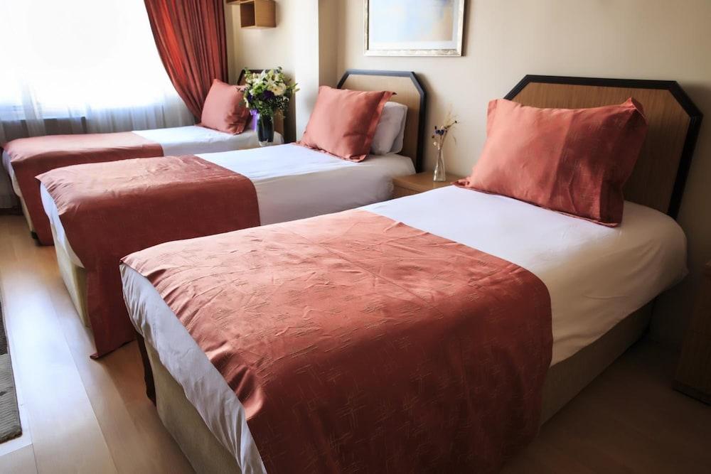 ANKA PREMIUM HOTEL — ISTANBUL — фотография отеля №20