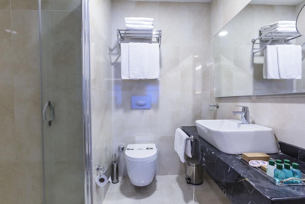 ATRO HOTEL — ISTANBUL — фотография отеля №13