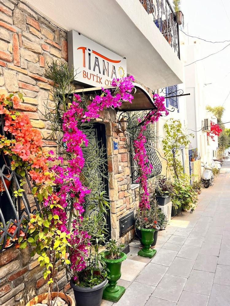 TIANA BUTIK OTEL — BODRUM — fotografie hotel nr. 34