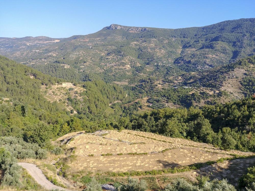 AVENA MOUNTAIN BOUTIQUE HOTEL (ADULTS ONLY) — ALANYA — фотография отеля №34