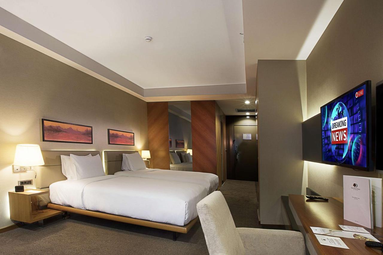 DOUBLETREE BY HILTON HOTEL ISTANBUL - OLD TOWN — ISTANBUL — fotografie hotel nr. 24