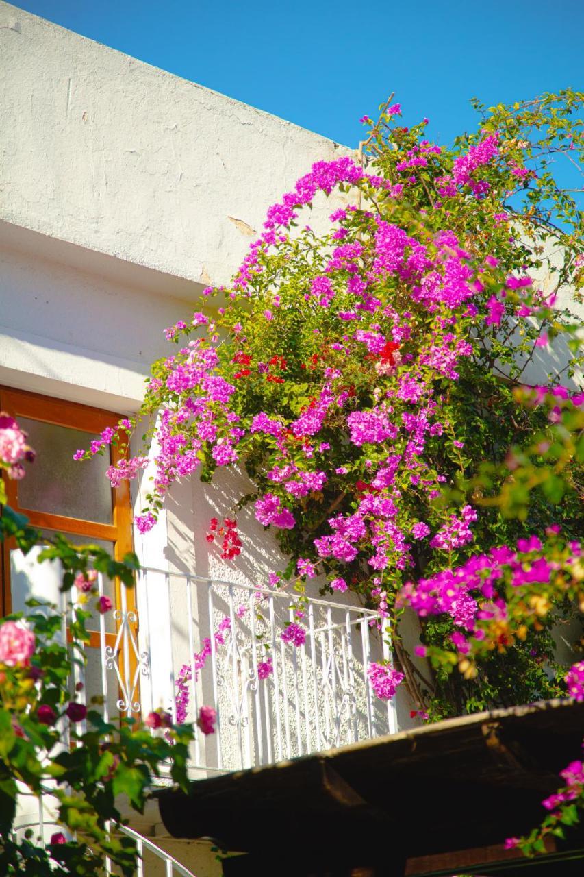 KARIA PRINCESS — BODRUM — fotografie hotel nr. 25