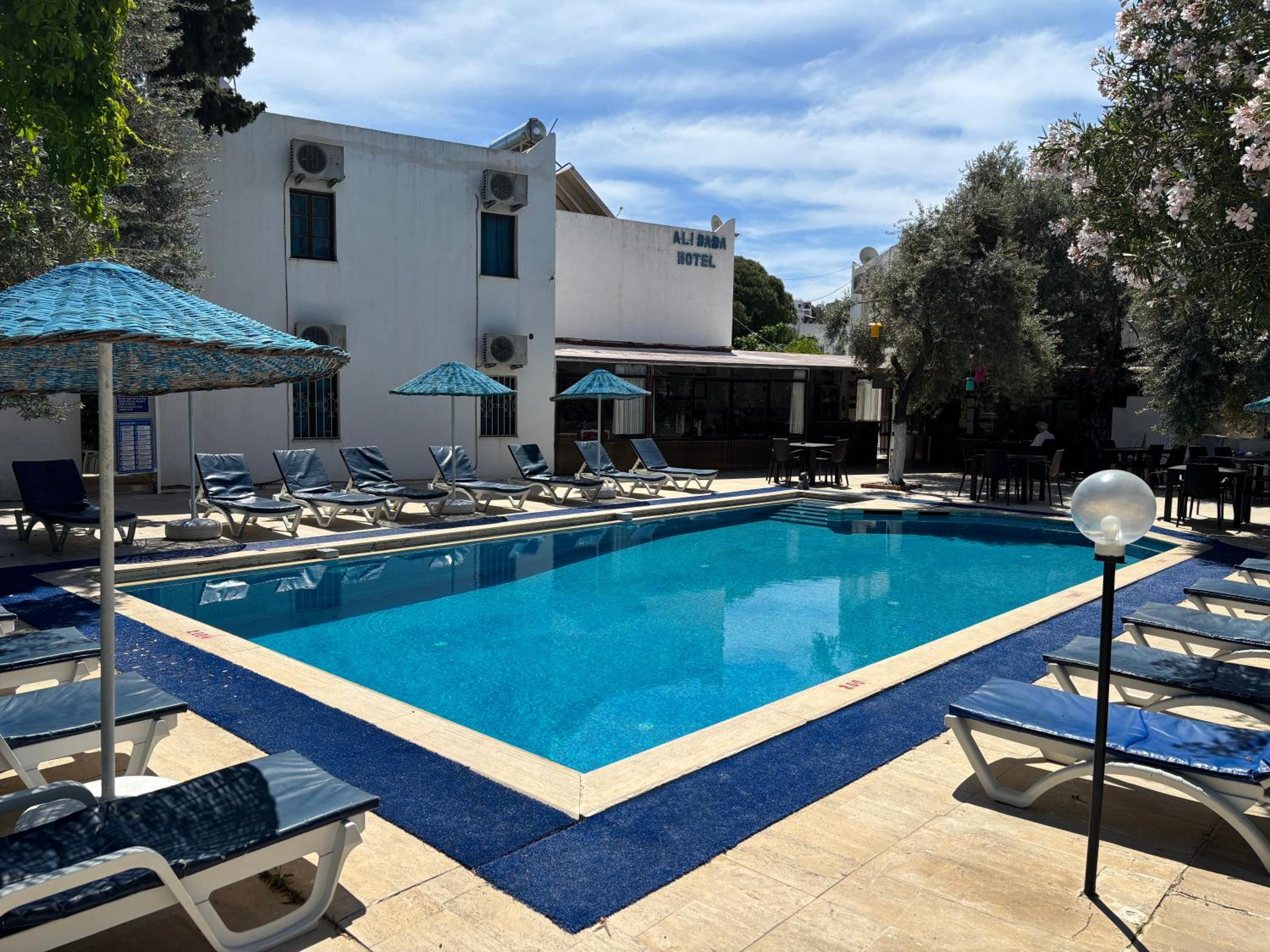 ALI BABA HOTEL — BODRUM — фотография отеля №18