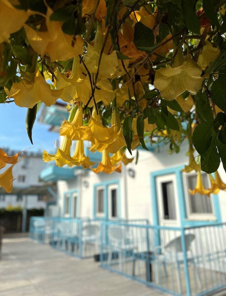 ENJOY HOTEL — FETHIYE