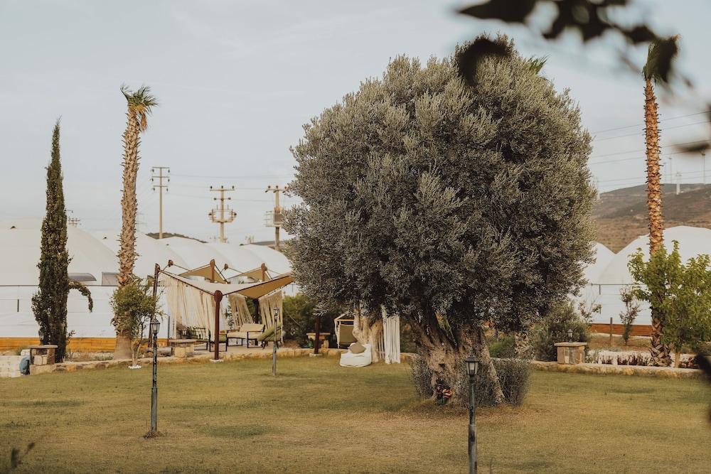 ALACATI ROUTE 35 — CESME — fotografie hotel nr. 16