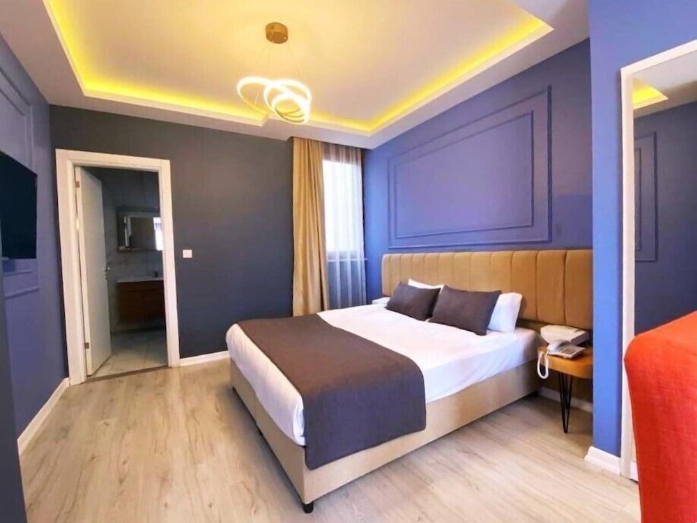 ALEMEYN THE TAKSIM LEONS HOTEL CAFE & SPA — ISTANBUL — fotografie hotel nr. 18