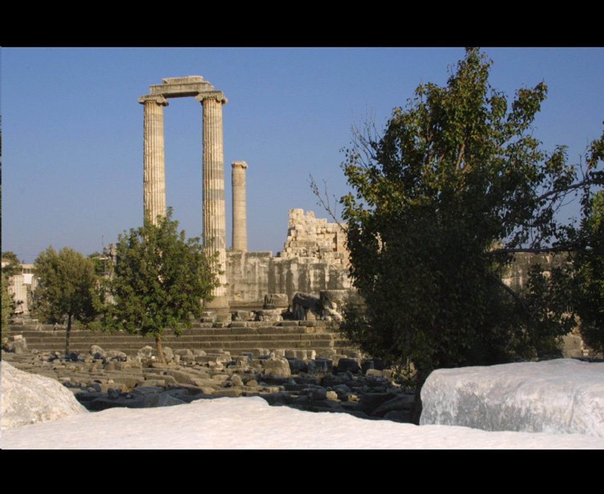 HOTEL SAADET — DIDIM — фотография отеля №32