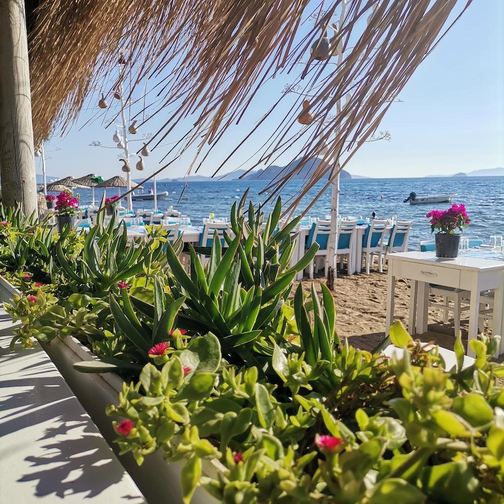 PITOS BUNGALOWS — BODRUM — фотография отеля №35