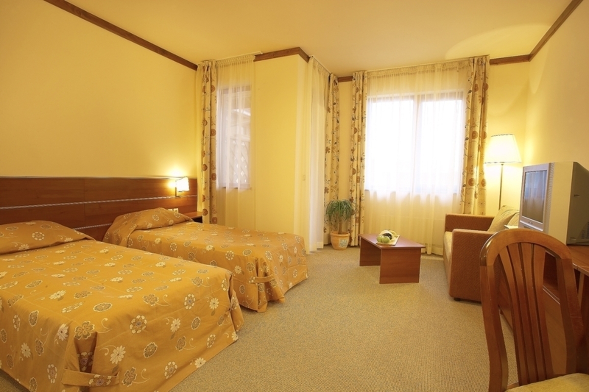 VIHREN PALACE SKI & SPA RESORT — BANSKO — фотография отеля №11