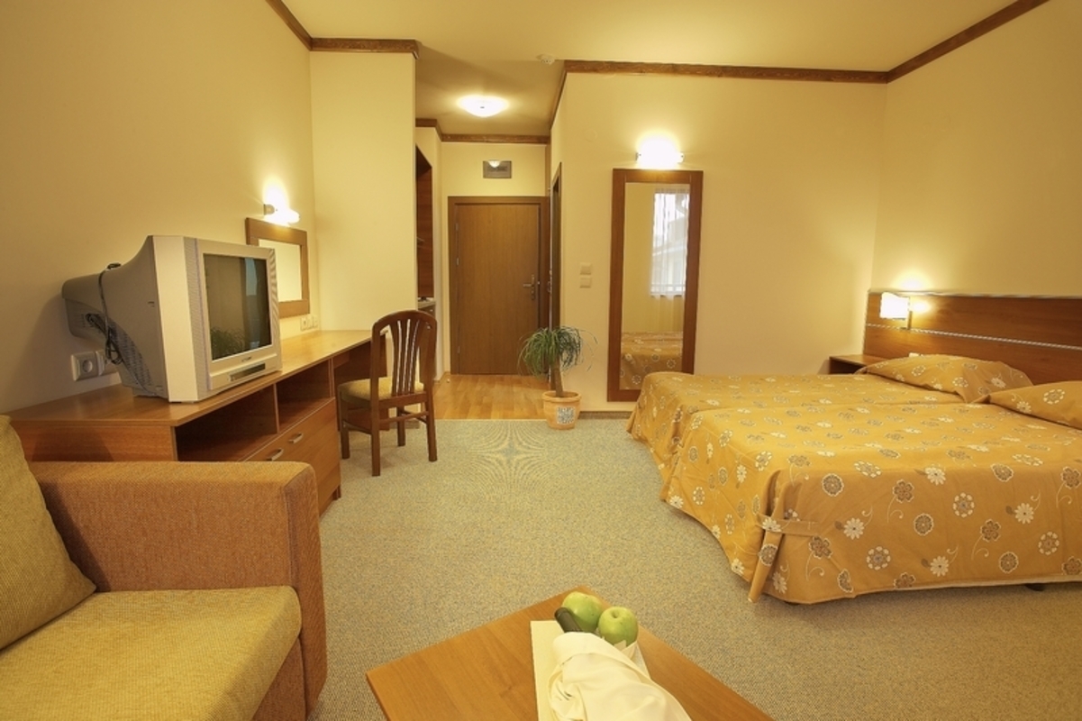 VIHREN PALACE SKI & SPA RESORT — BANSKO — фотография отеля №3