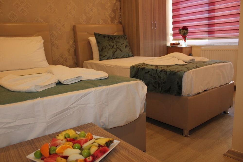GORUR HOTEL — ISTANBUL — фотография отеля №16