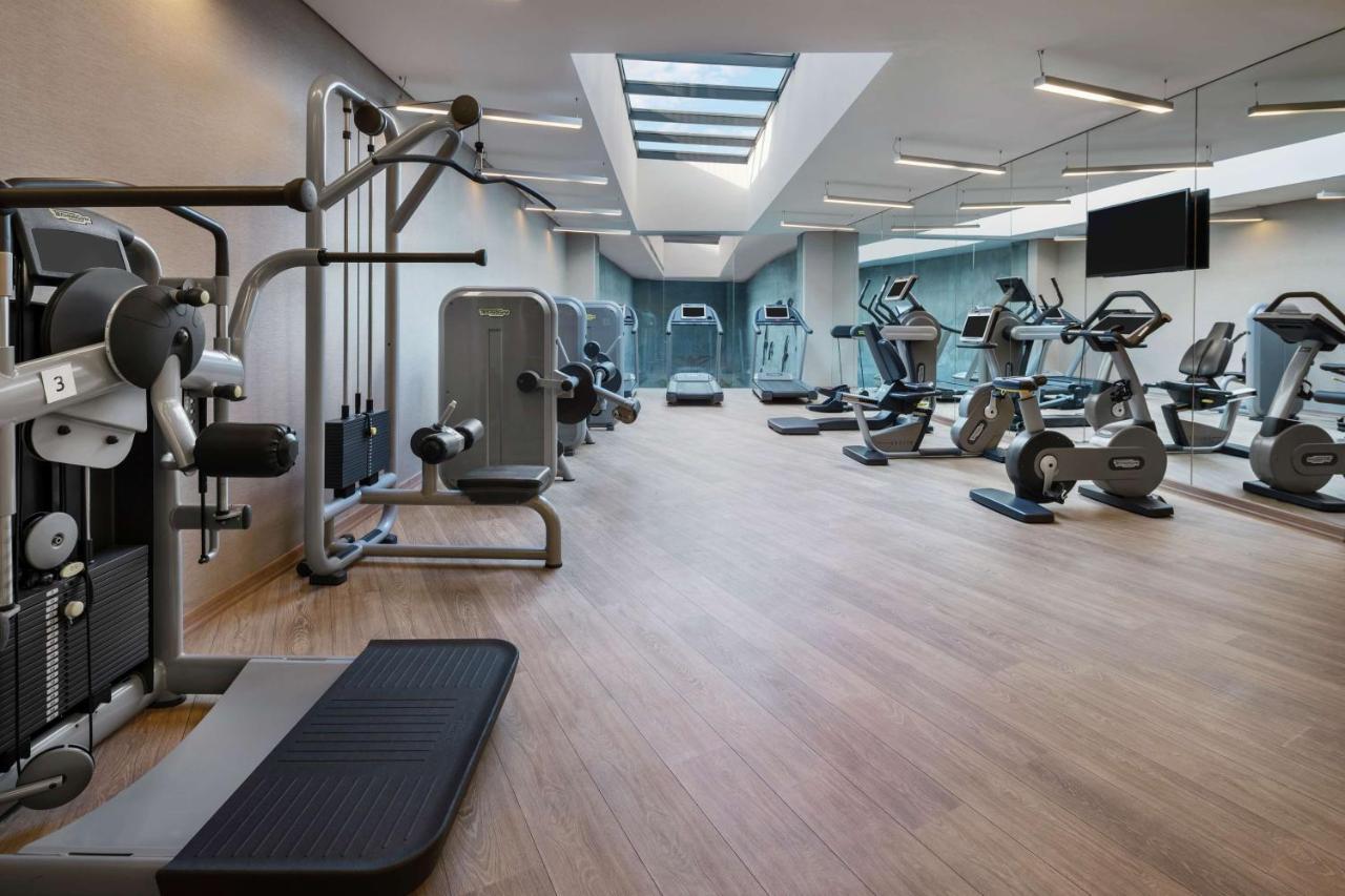 DOUBLETREE BY HILTON ISTANBUL GAYRETTEPE — ISTANBUL — fotografie hotel nr. 23
