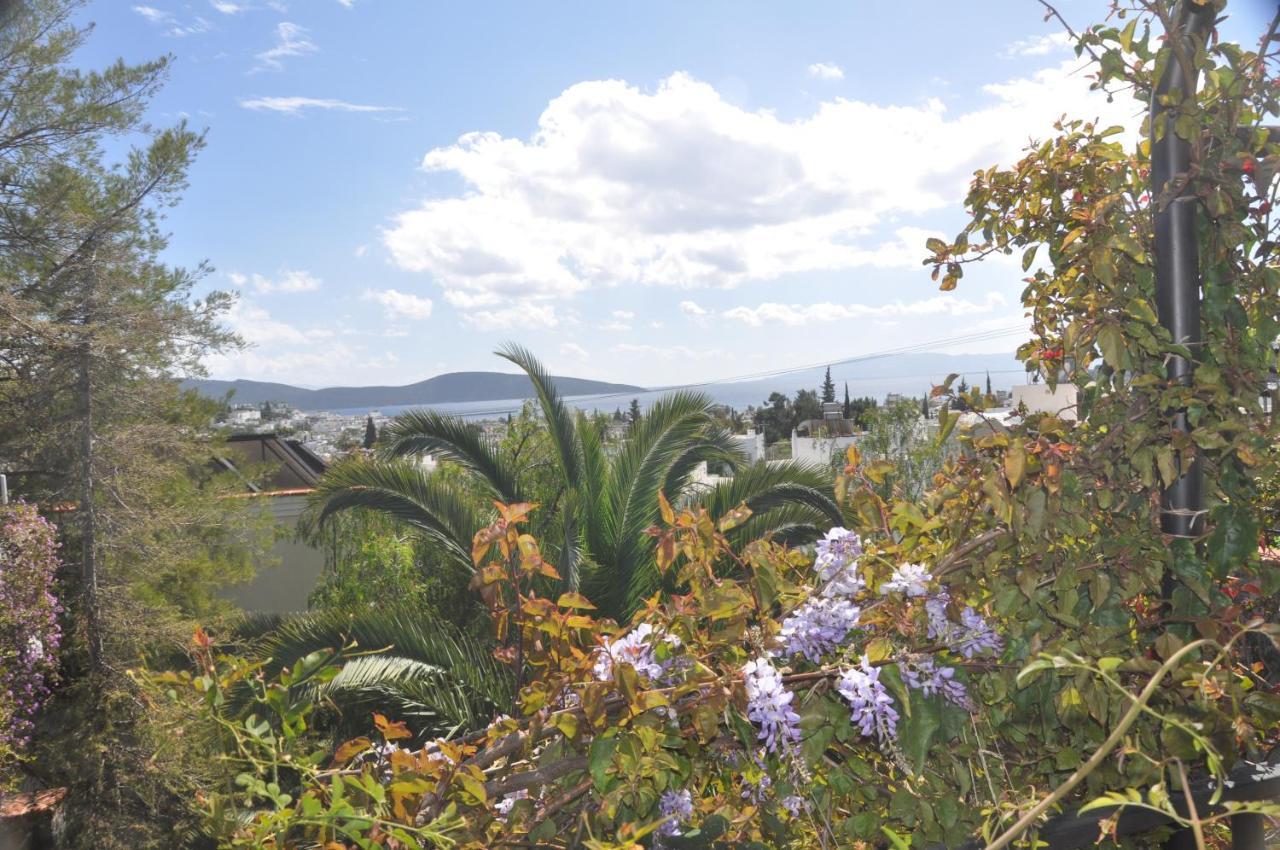 EL VINO — BODRUM — fotografie hotel nr. 29