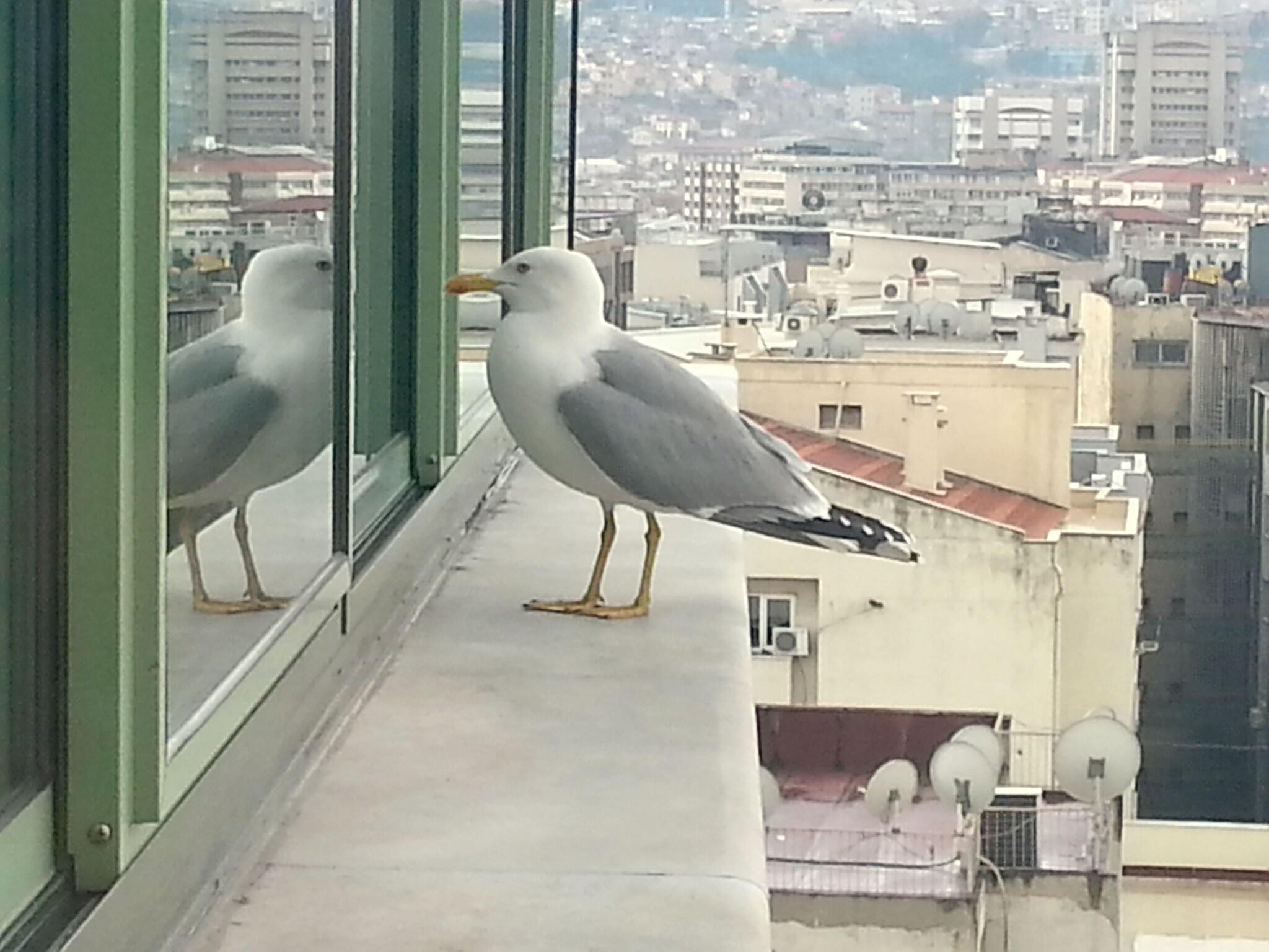 MARLA — IZMIR — фотография отеля №32