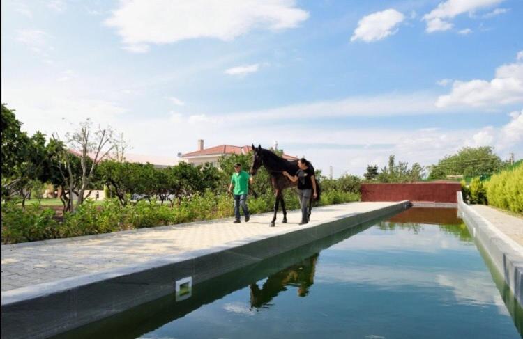 B. EQUINE RANGE HOTEL — IZMIR — fotografie hotel nr. 17