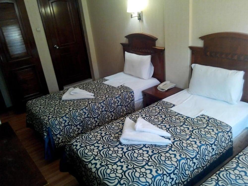HOTEL RED ROSE — ISTANBUL — фотография отеля №9