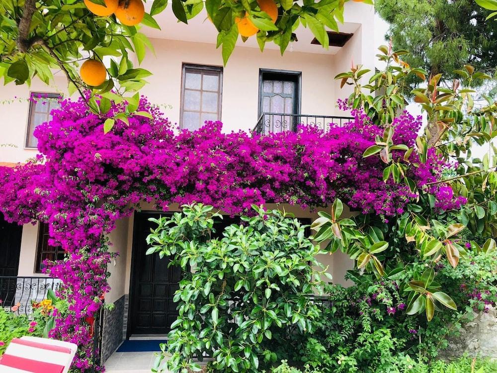 DALYAN VILLAS SUN NATURE AND HISTORY — DALYAN — фотография отеля №20
