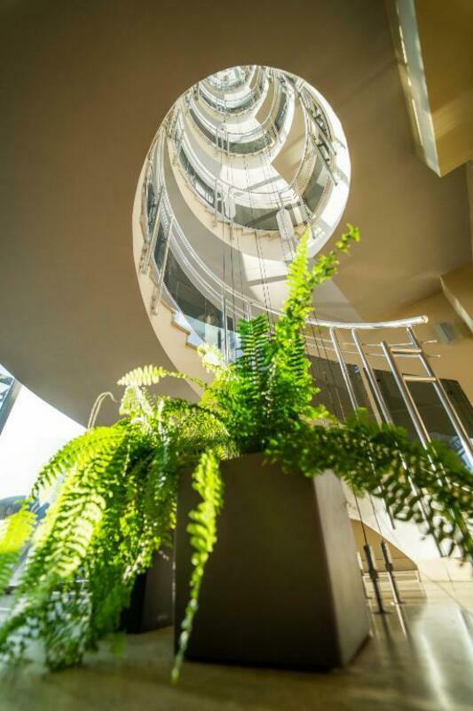 VIVA CLUB HOTEL — GOLDEN SANDS — fotografie hotel nr. 23