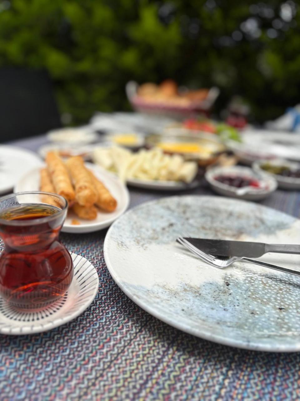 TEPEHAN PANSIYON — SEFERIHISAR — fotografie hotel nr. 36