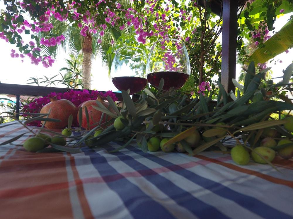 LALE APART — FETHIYE — fotografie hotel nr. 2