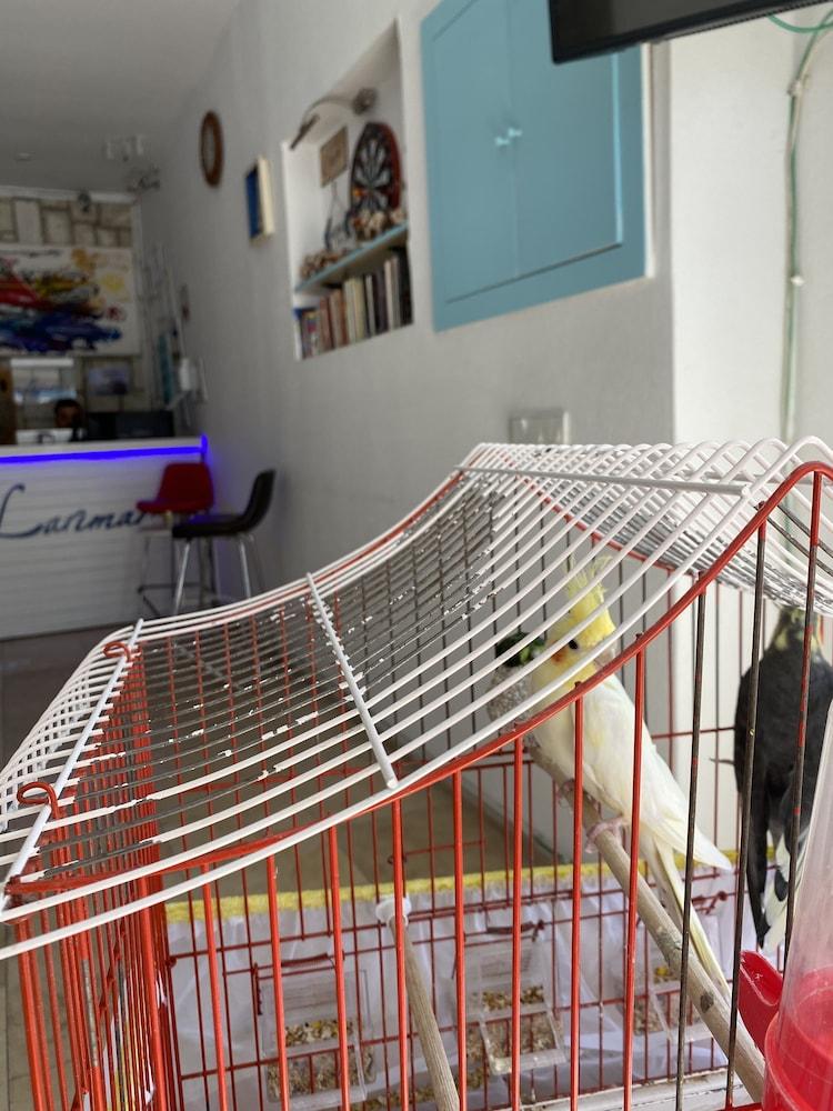 LARIMAR BOUTIQUE HOTEL — CESME — fotografie hotel nr. 3