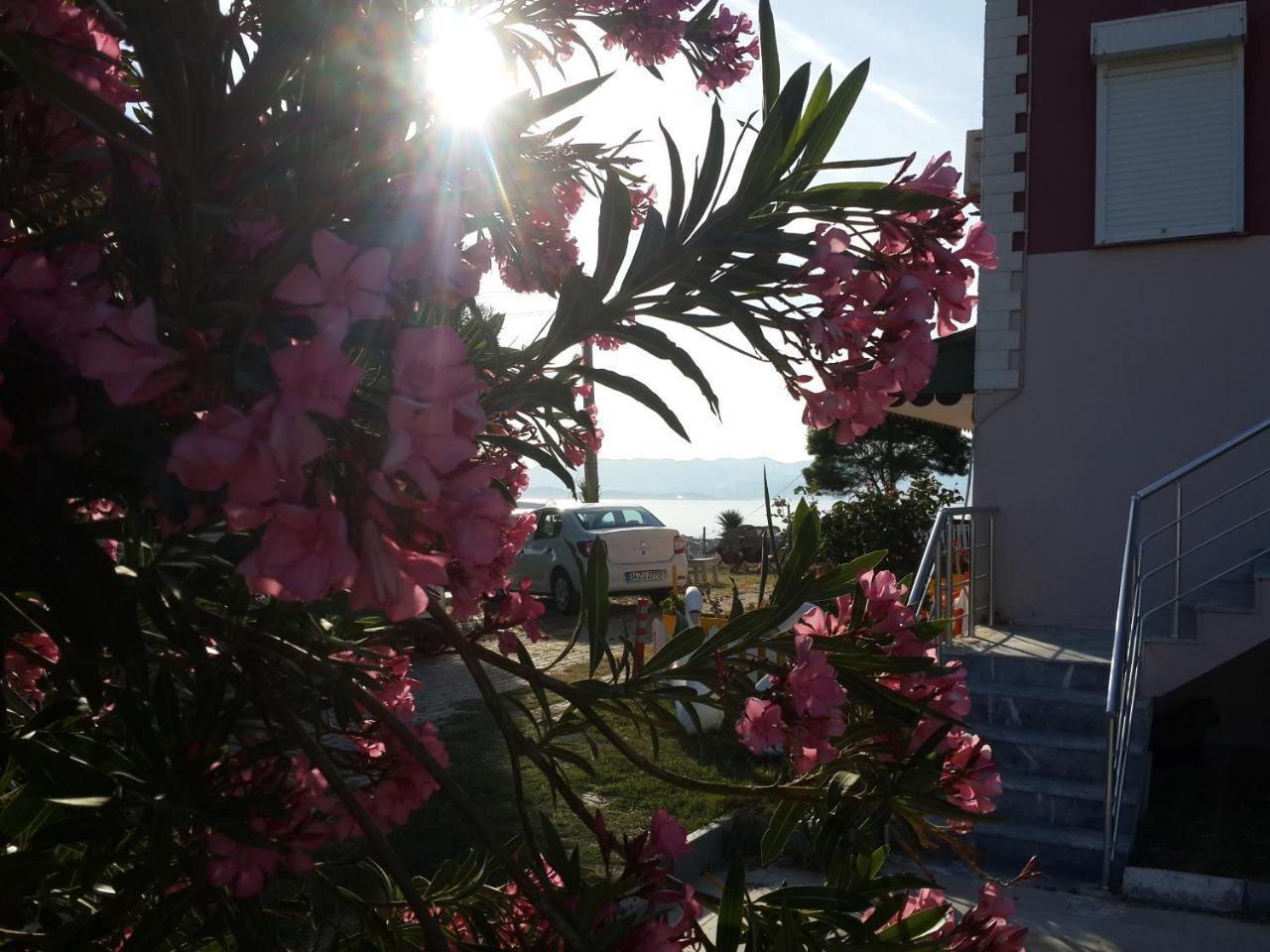 CIFTLIK BUTIK HOTEL — CESME — фотография отеля №12