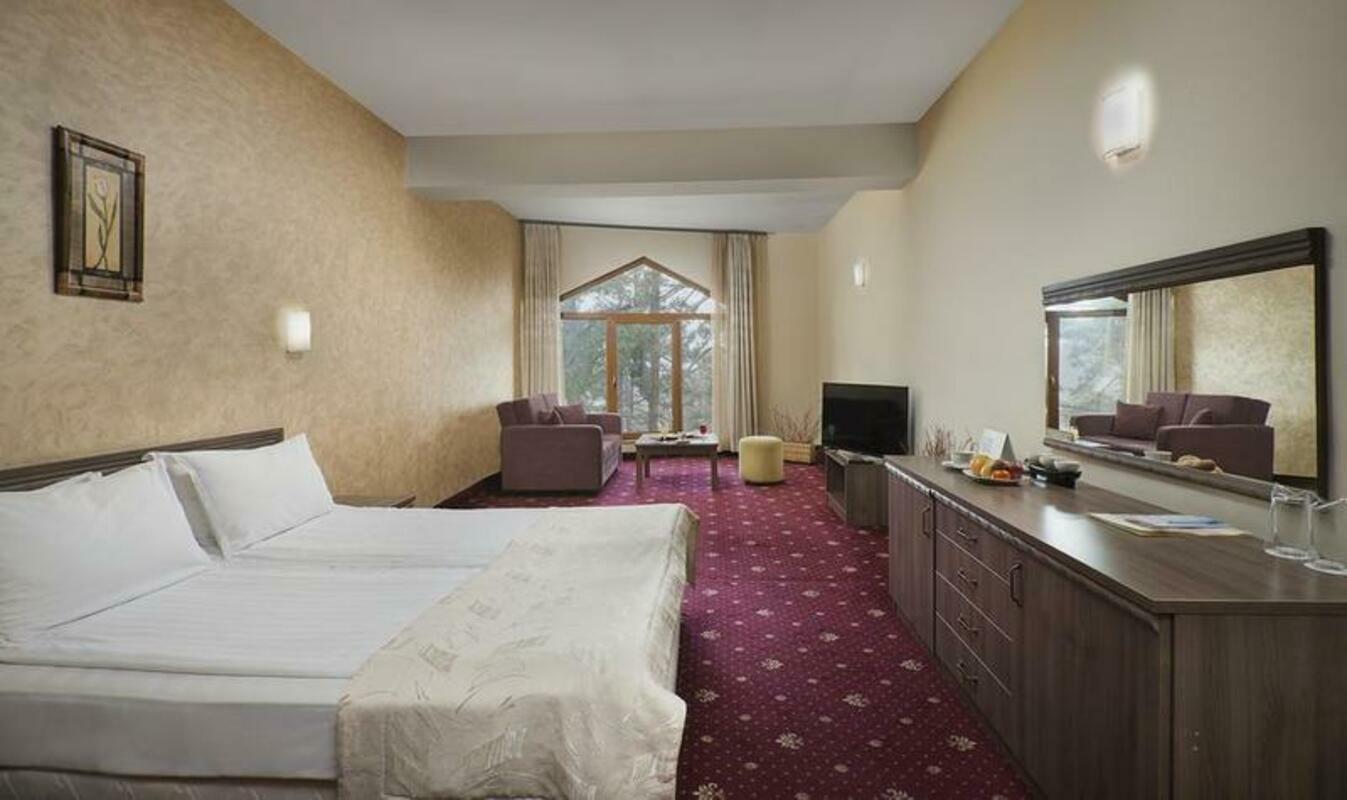 BOR SPA CLUB — VELINGRAD — fotografie hotel nr. 14
