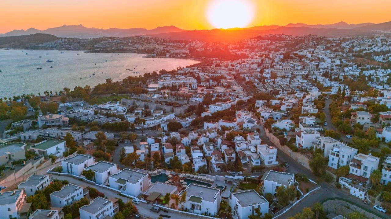 CLUB PEDALISA — BODRUM — фотография отеля №24