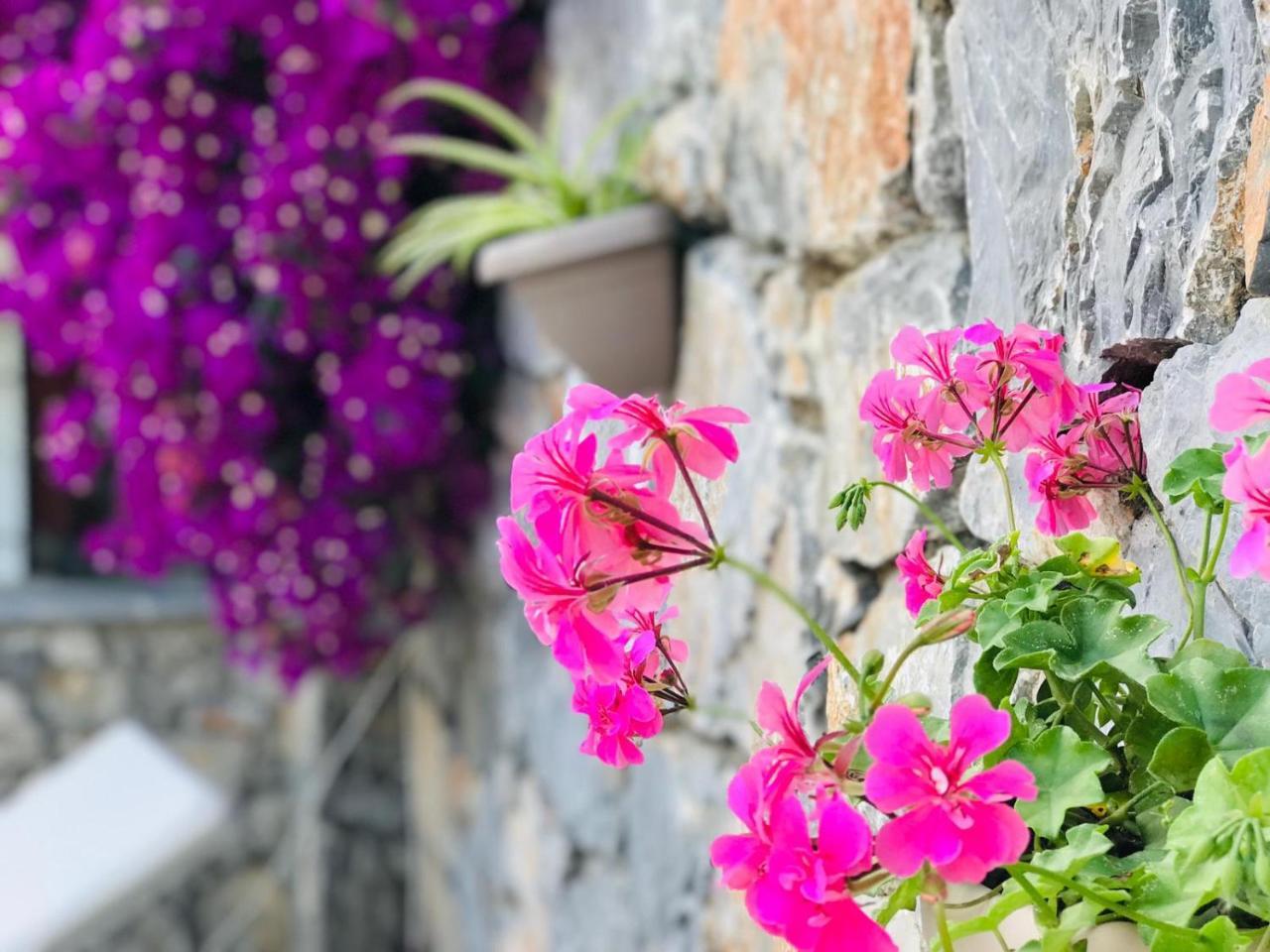 NEHIR DALYAN BOUTIQUE OTEL — DALYAN — фотография отеля №19