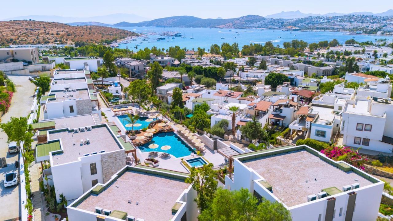 CLUB PEDALISA — BODRUM — фотография отеля №14