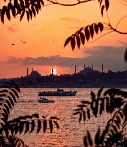HAPPY SUITE BOUTIQUE HOTEL — ISTANBUL — фотография отеля №5