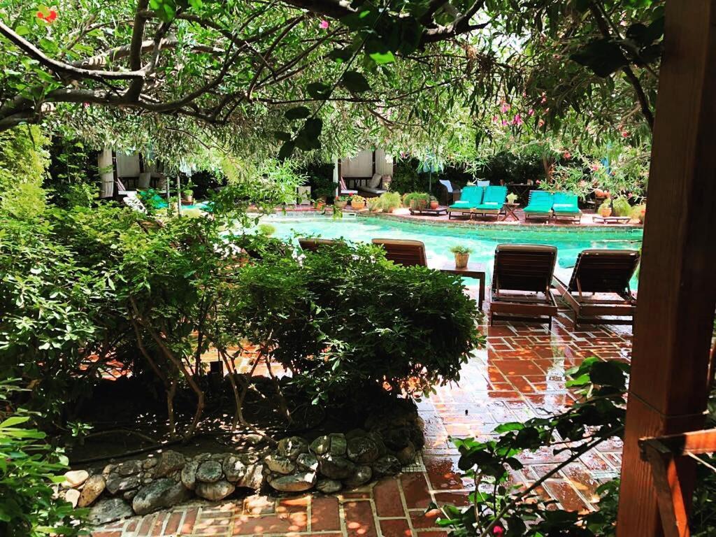EL VINO — BODRUM — fotografie hotel nr. 21