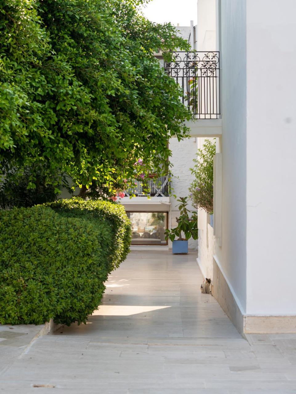 SECKIN KONAKLAR — BODRUM — фотография отеля №11